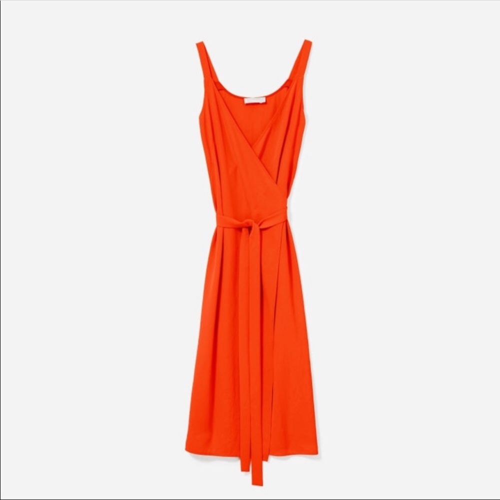 Everlane Japanese GoWeave Wrap Dress